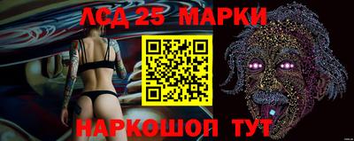 стафф Кингисепп