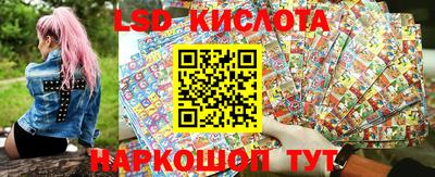 стафф Кингисепп