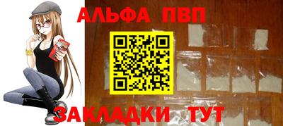 стафф Кингисепп