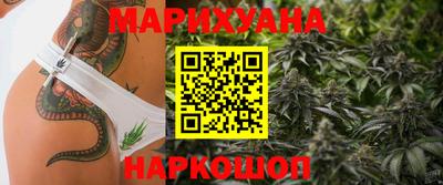 стафф Кингисепп
