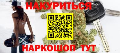 стафф Кингисепп