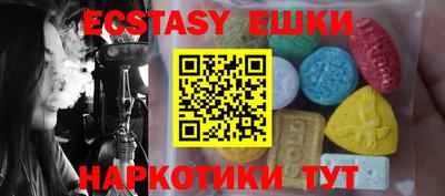 стафф Кингисепп