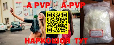 стафф Кингисепп