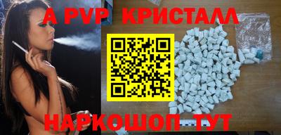 стафф Кингисепп