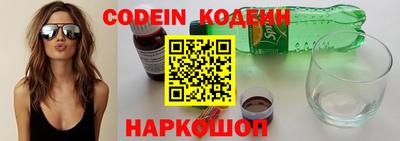 стафф Кингисепп