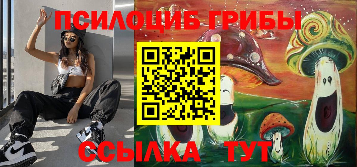 Псилоцибиновые грибы мицелий Коломна