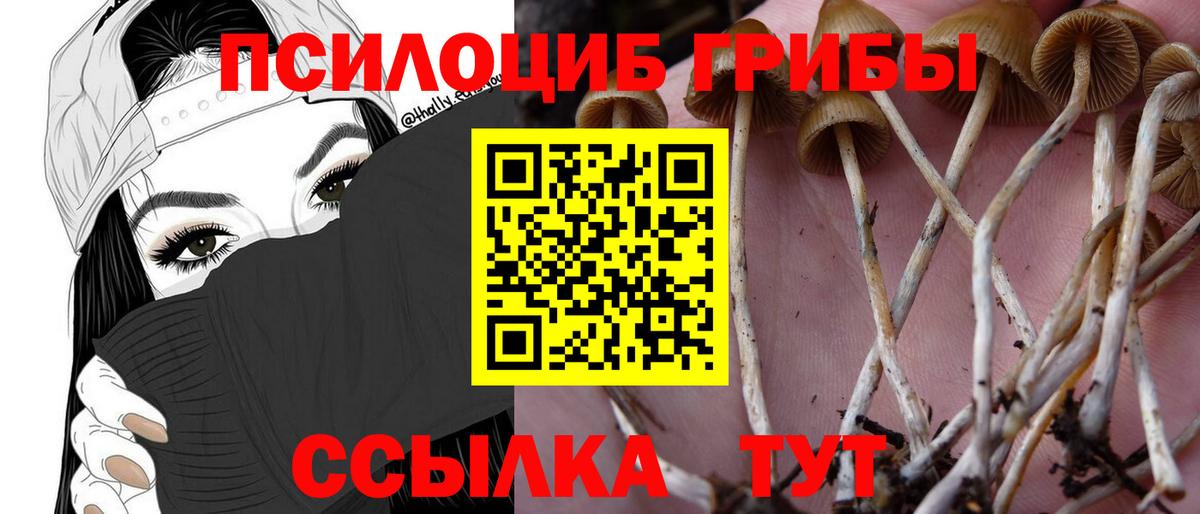 Галлюциногенные грибы GOLDEN TEACHER  Вход с VPN  Коломна  Псилоцибиновые грибы мицелий 
